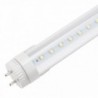 Tubo de LED 60 cm T8 Cabeça Rotativa 10W 1000 lm 30000H Opalino Branco - GR-T8RDDG10W-W-O - 8435402504405