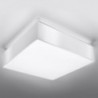 Luminária de Teto HORUS Branco IP20 2x E27 Sem Lâmpada - SOL-SL.0138 - 8445152080173