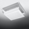 Luminária de Teto SCATOLA Branco IP20 2x E27 Sem Lâmpada - SOL-SL.0427 - 8445152081453